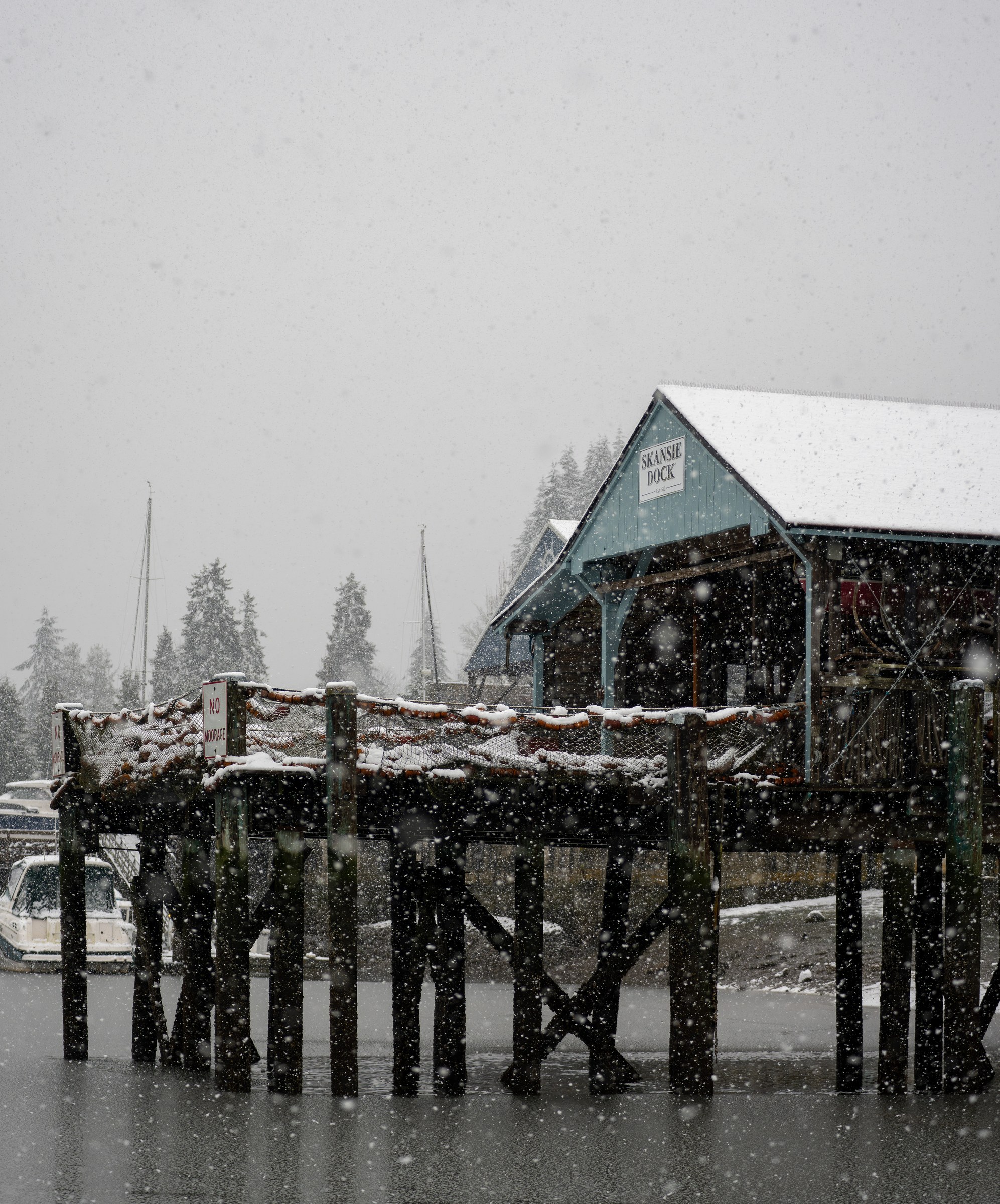 Skanskie in the Snow