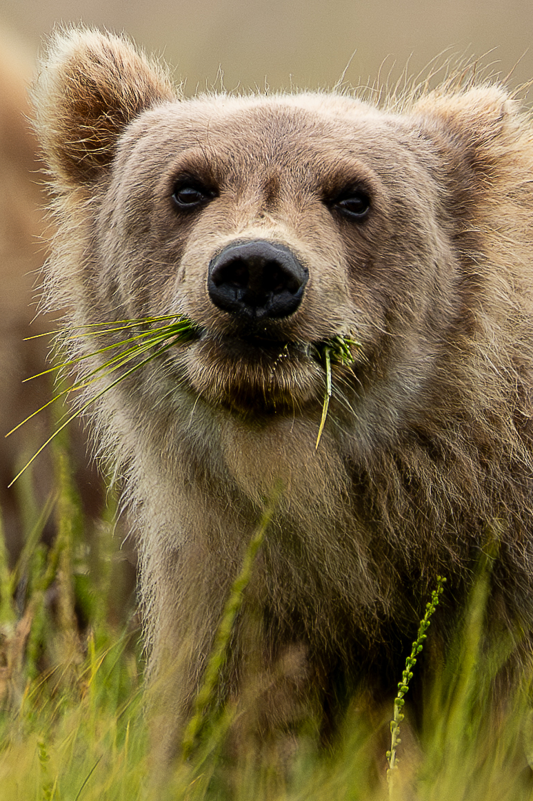Do I Have Something in My Teeth?