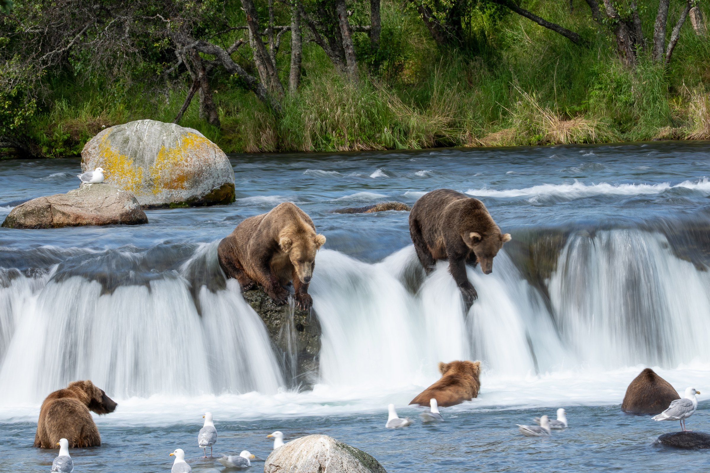 Fishing at the Falls