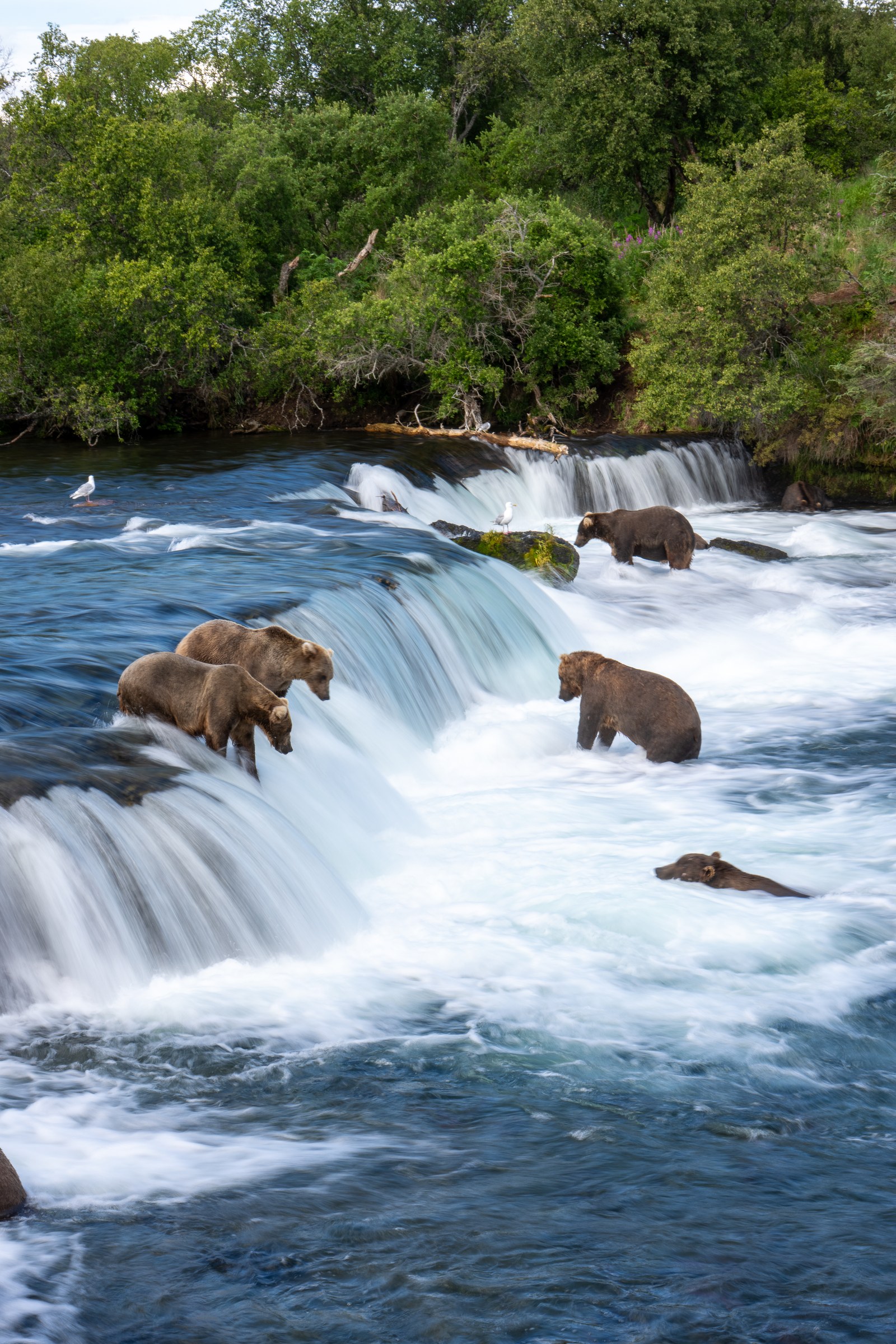 Painted Falls