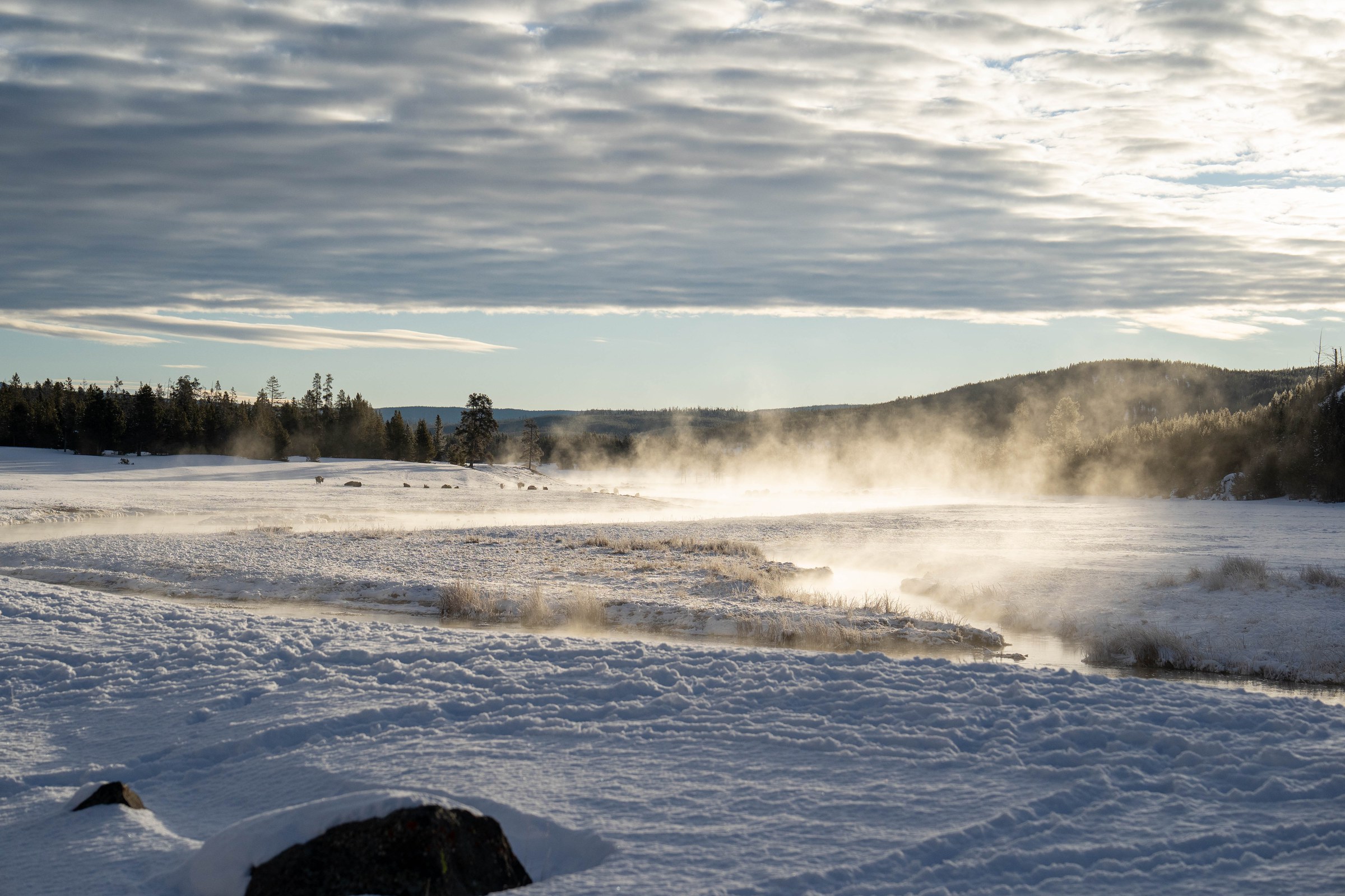 Yellowstone Sunrise